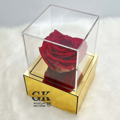 rose-javdan2