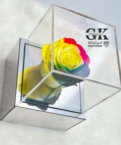 rose-javdan2