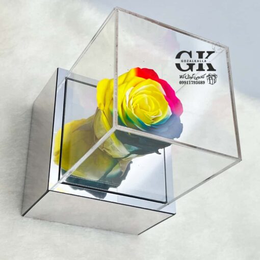rose-javdan2