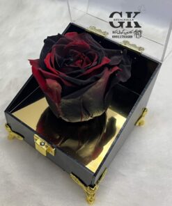 rose-javdan3