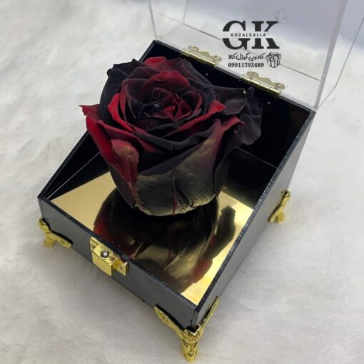 rose-javdan3