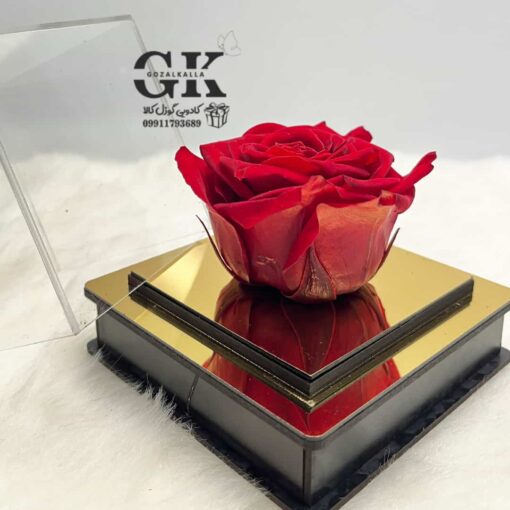 rose-javdan4