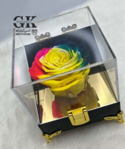 rose-javdan3