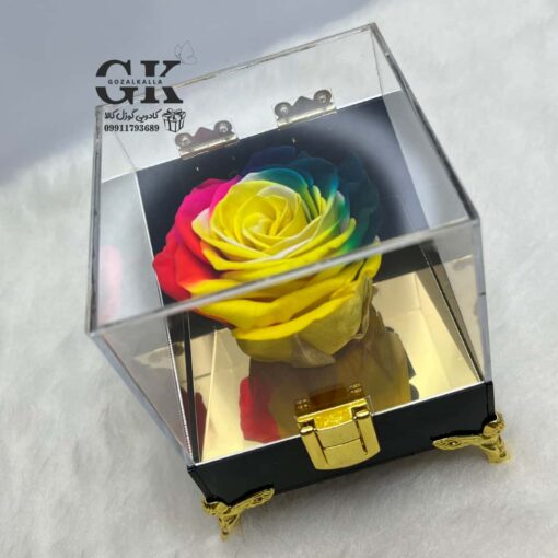 rose-javdan3