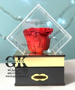 رز جاودان | هدیه‌ای ماندگار طرح 5