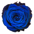 آبی